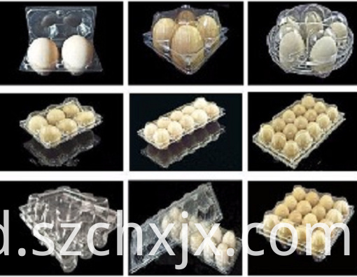 Molding dan Sampel Molding and Samples